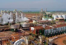 Guarani abre 1,5 mil vagas, inclusive para Olímpia