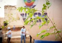 &Eacute; neste domingo: Projeto da TV Tem vai plantar mais de 300 mudas de &aacute;rvores na Constitucionalista de 32
