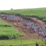 Caminhada2015 (152)