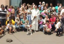 Animais e crian&ccedil;as recebem ben&ccedil;&atilde;os em celebra&ccedil;&atilde;o especial na Igreja Matriz de S&atilde;o Jos&eacute;