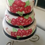 fotos-diversas-apple-iphone-1231