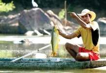 Vai começar a Piracema e as regras continuam as mesmas, alerta a Polícia Ambiental
