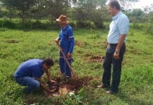 DAEMO inicia recuperação ambiental às margens do Córrego dos Pretos