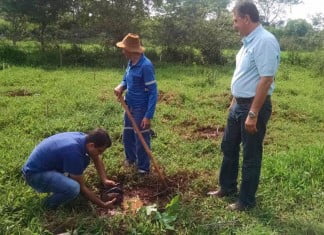 DAEMO inicia recuperação ambiental às margens do Córrego dos Pretos