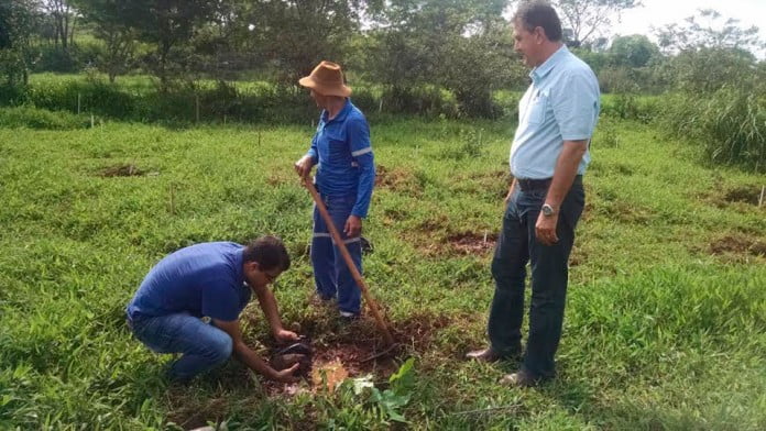 DAEMO inicia recuperação ambiental às margens do Córrego dos Pretos