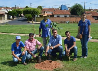 Daemo faz o plantio de 50 mudas de Ipês na Praça da Cohab 4