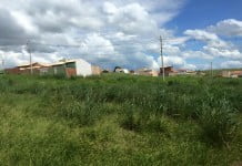 Daemo inicia fiscalização ambiental e cidadão pode fazer denúncia anônima