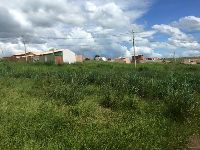 Daemo inicia fiscalização ambiental e cidadão pode fazer denúncia anônima