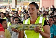 Guarani realiza missas de início de safra em suas unidades