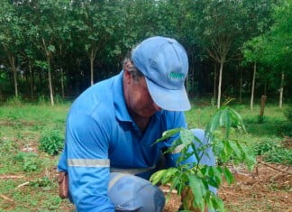 Daemo Ambiental protege nascentes do Córrego Olhos d’Água