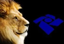 Já está se preparando para o Imposto de Renda? Todas as dicas (e o programa) aqui