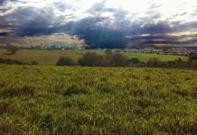 Oportunidade de investimento: cinco lotes à venda em área rural próxima ao Santa Rita