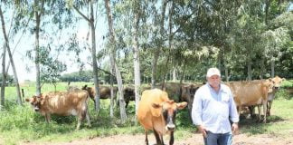 Dia de Campo promete reunir 650 produtores de vários Estados na sexta, em Cosmorama