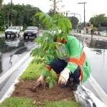 ARBORIZAO-PLANTIO-4.jpg