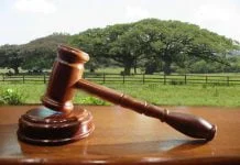 Autorizada a primeira recuperação judicial de produtores rurais do País