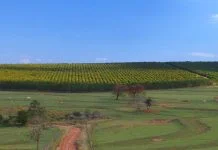 Vence dia 30 o imposto sobre a propriedade territorial rural deste ano