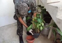 No combate contra a dengue, atiradores do TG e agentes de Saúde casa a casa