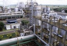 Guarani passará a se chamar Tereos Açúcar e Energia Brasil após comprar ações da Petrobras