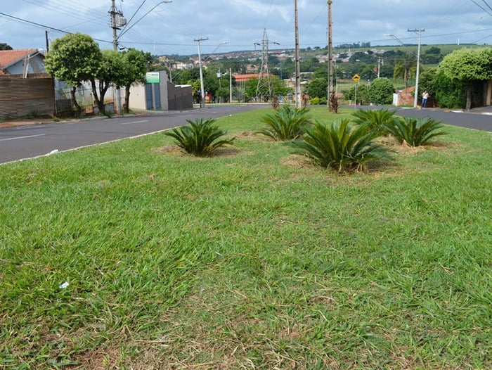 Av