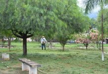 Distritos de Ribeiro e Baguaçu recebem ‘mutirão de limpeza’