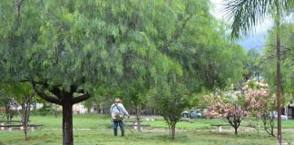 Distritos de Ribeiro e Baguaçu recebem ‘mutirão de limpeza’