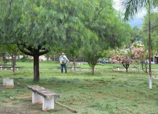 Distritos de Ribeiro e Baguaçu recebem ‘mutirão de limpeza’