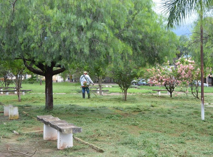 Distritos de Ribeiro e Baguaçu recebem ‘mutirão de limpeza’