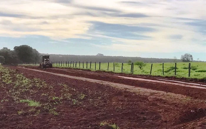 estrada-rural