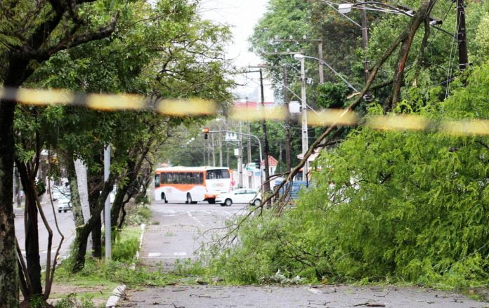CPFL diz que podas inadequadas e raios são maiores causas de quedas de energia