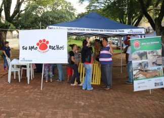 Praça central recebe Feira de Animais para adoção no sábado