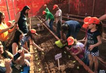Thermas Social inaugura Horta Comunitária para Abrigo São José. “É uma nova semente”, destaca Noronha