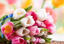 Ceagesp promove feira com exposição e venda de flores para o Dia das Mães