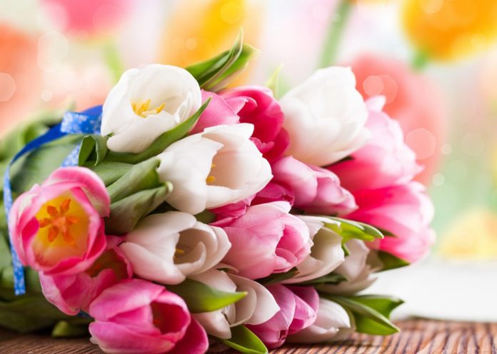 Ceagesp promove feira com exposição e venda de flores para o Dia das Mães