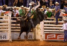 Programação da 62ª Festa do Peão de Barretos reúne principais campeonatos e 25º Barretos International Rodeo