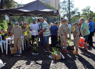 Feira doa mais de 600 mudas e sementes