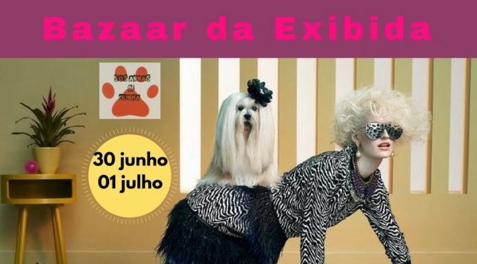 Idalina Thomazini lança mais um “Bazaar da Exibida”. Agora, em prol da causa animal