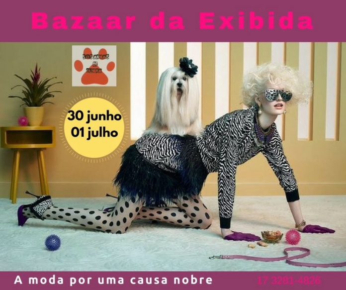 Idalina Thomazini lança mais um “Bazaar da Exibida”. Agora, em prol da causa animal