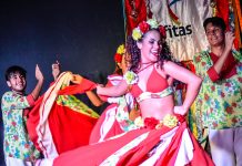 Quatro grupos de Minas Gerais estarão no 53º Fefol