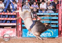 Country Bulls resgata tradição e traz as montarias em cavalos