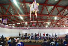 Seminário de Estudos do Fefol terá ciclo de palestras