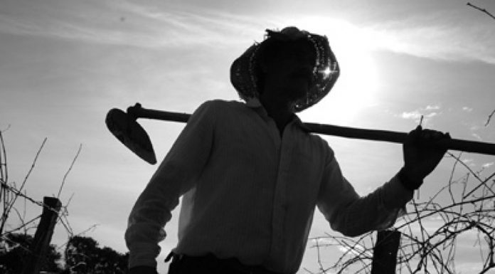 Câmara promove ato solene em homenagem ao Dia do Agricultor
