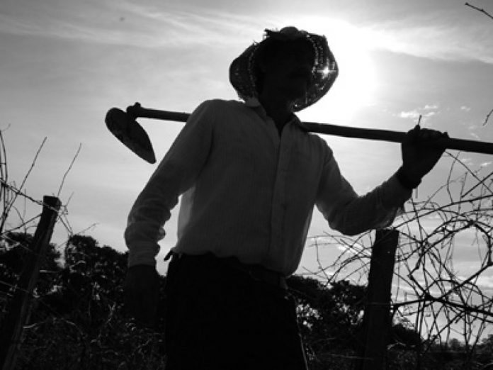 Câmara promove ato solene em homenagem ao Dia do Agricultor