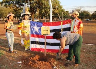 Recinto do Folclore ganha “Praça dos Estados” com a plantio de mudas de árvores nativas