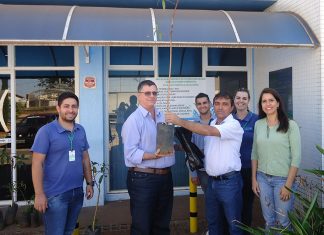 Daemo promove ação intermunicipal de doação de mudas