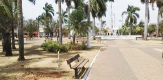 Projeto Social planta árvores e recupera áreas em Guaraci