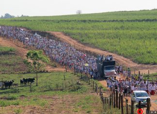 Cerca de cinco mil fiéis voltam ao Caminho da Fé em louvor à Padroeira