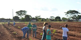 Baguaçu recebe plantio de árvores e novas áreas verdes