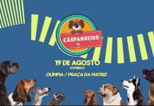 SBT e Prefeitura confirmam “Cãopanheiro” com show do ator “Cirilo” de Carrossel, em agosto