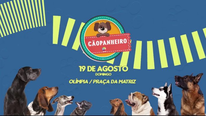 SBT e Prefeitura confirmam “Cãopanheiro” com show do ator “Cirilo” de Carrossel, em agosto
