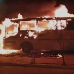 onibus